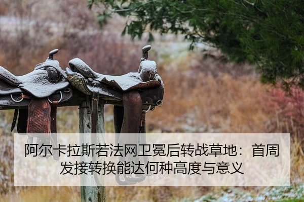 a-er-ka-la-si-ruo-fa-wang-wei-mian-hou-zhuan-zhan-cao-di-shou-zhou-fa-jie-zhuan-huan-neng-da-he-zhong-gao-du-yu-yi-yi-2-652.jpg
