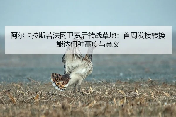 a-er-ka-la-si-ruo-fa-wang-wei-mian-hou-zhuan-zhan-cao-di-shou-zhou-fa-jie-zhuan-huan-neng-da-he-zhong-gao-du-yu-yi-yi-1-221.jpg
